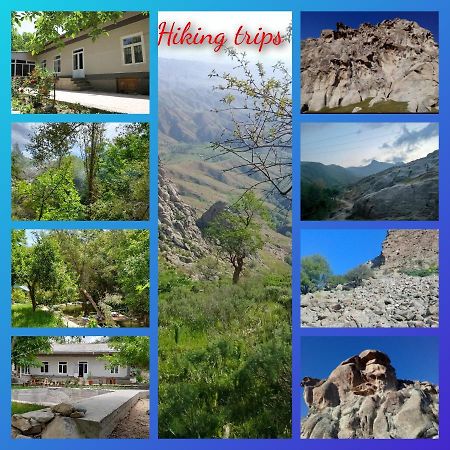 Forest Guest House Mirzakishlak Ngoại thất bức ảnh