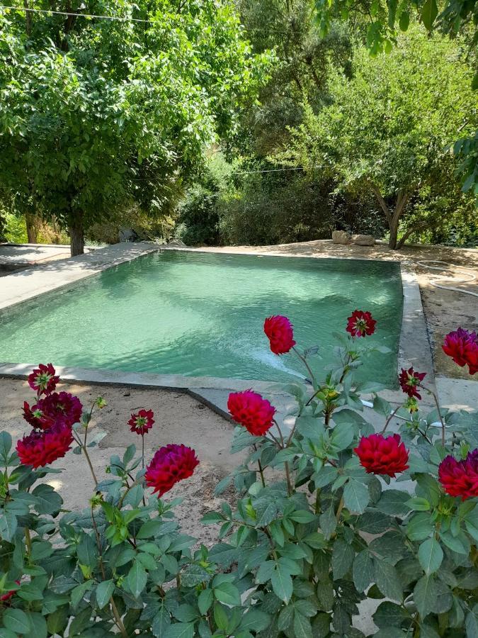 Forest Guest House Mirzakishlak Ngoại thất bức ảnh