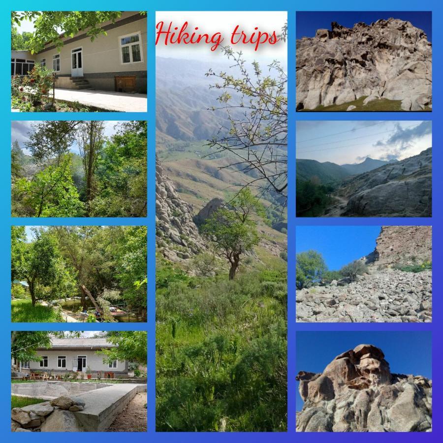 Forest Guest House Mirzakishlak Ngoại thất bức ảnh