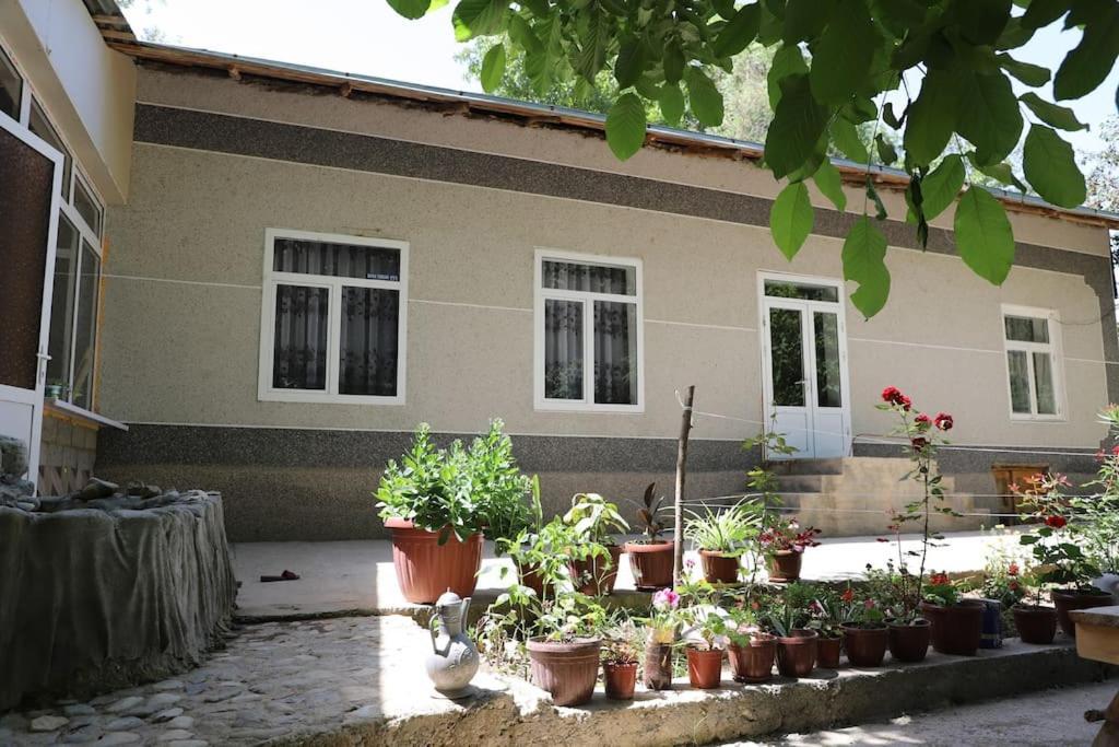Forest Guest House Mirzakishlak Ngoại thất bức ảnh