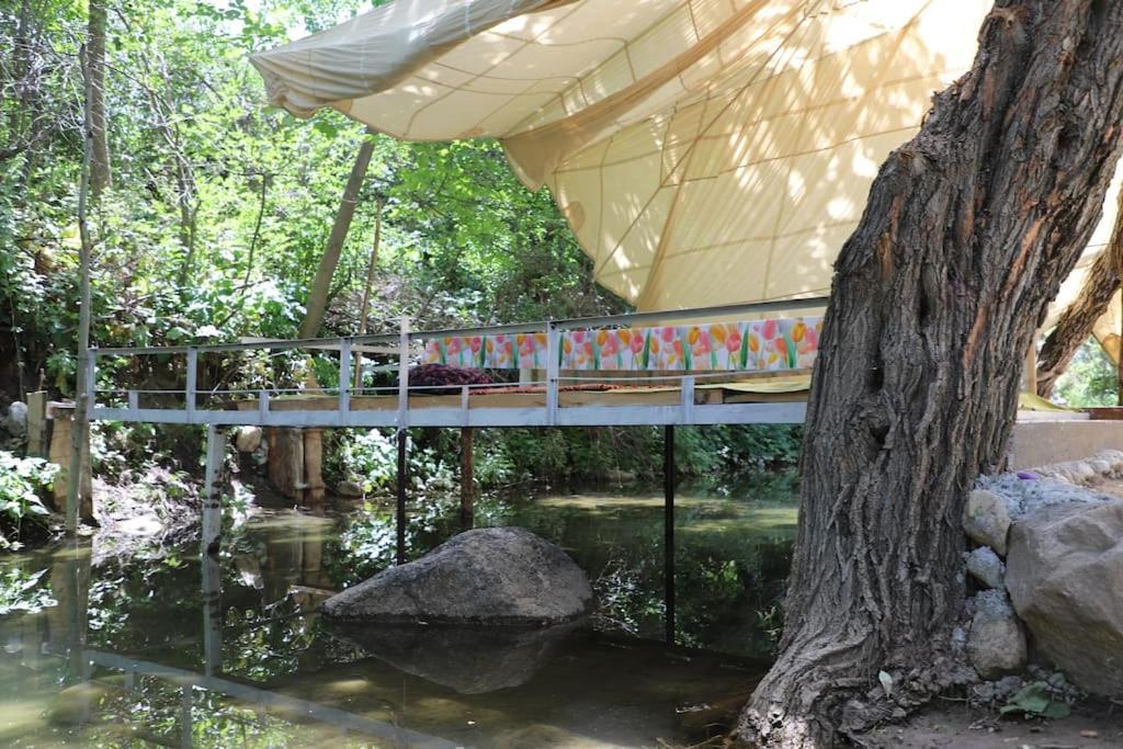 Forest Guest House Mirzakishlak Ngoại thất bức ảnh