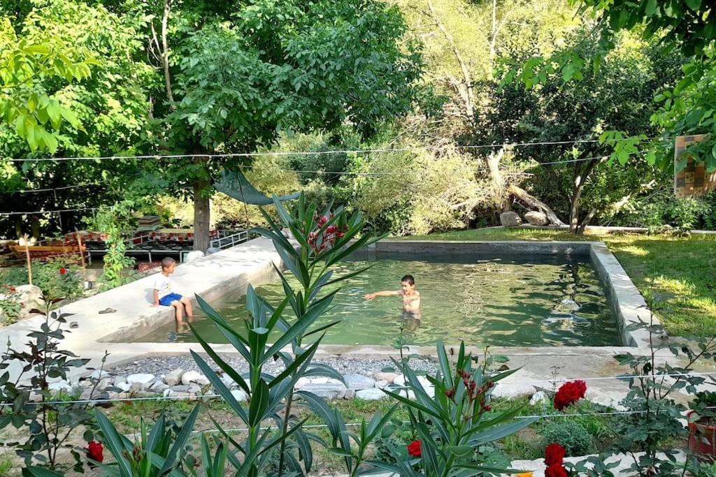 Forest Guest House Mirzakishlak Ngoại thất bức ảnh