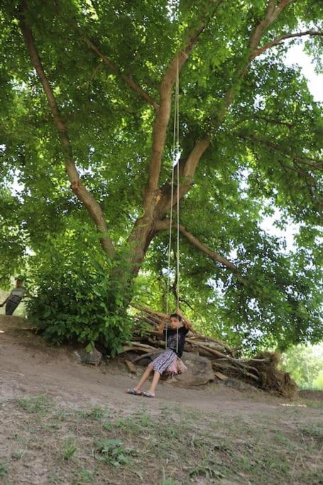 Forest Guest House Mirzakishlak Ngoại thất bức ảnh